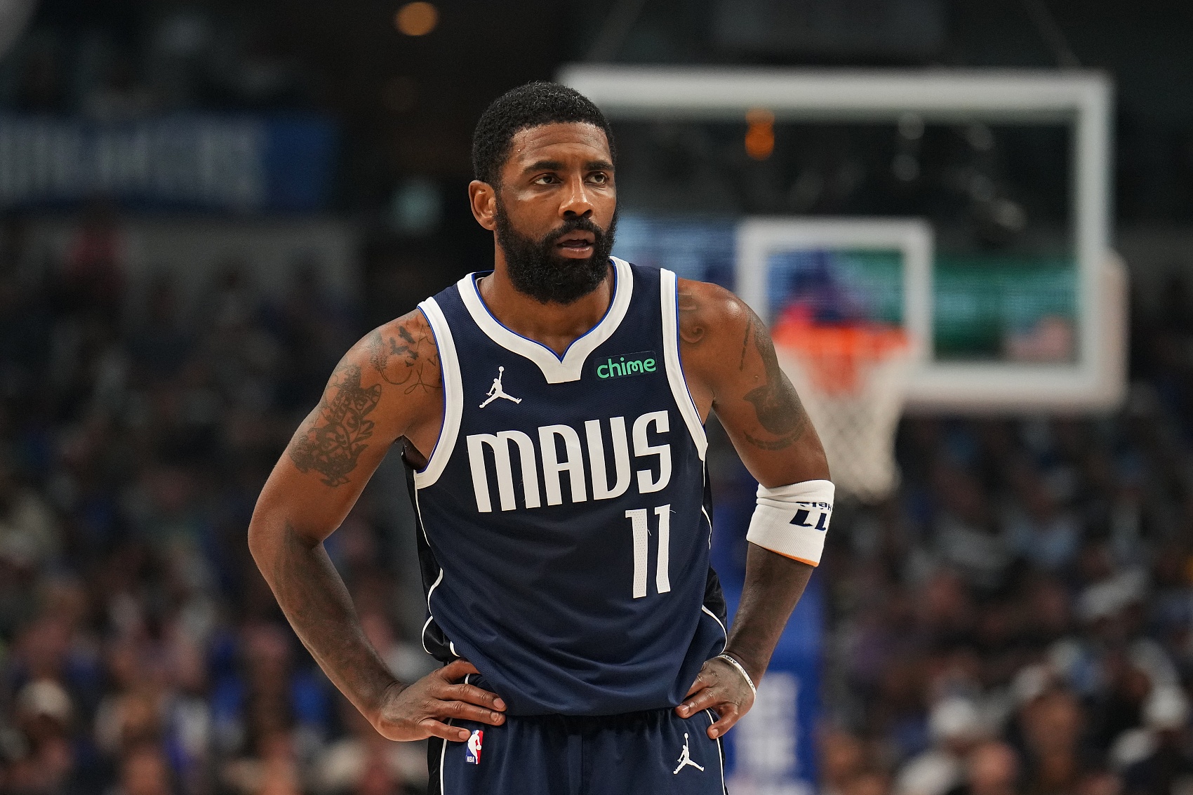 领略其中的 领略其中的